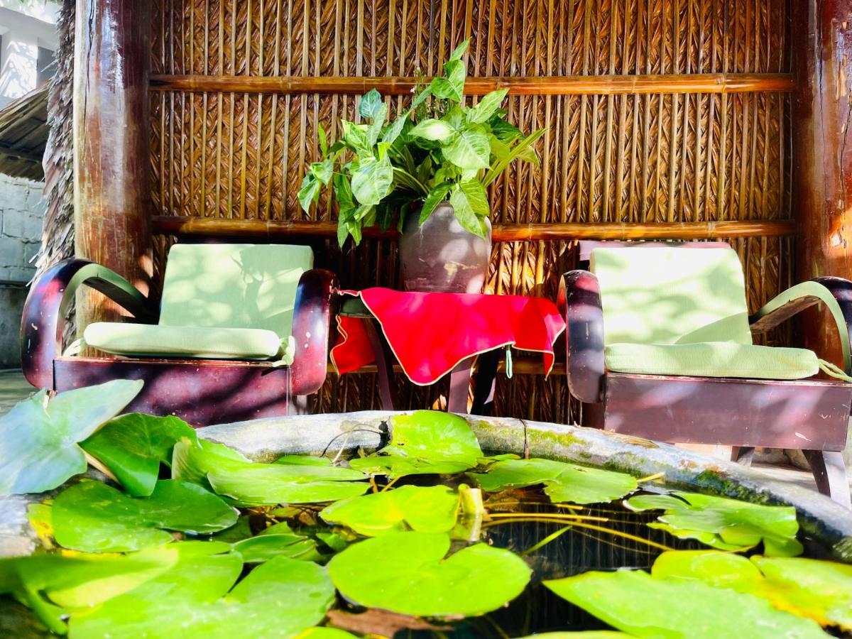 Ở trọ Under The Coconut Tree *